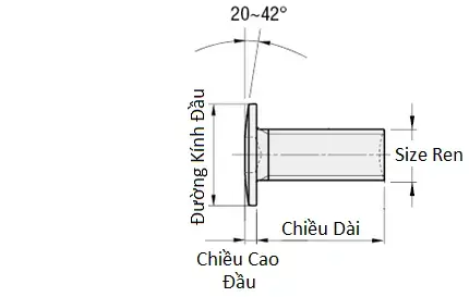 Ảnh kích thước sản phẩm