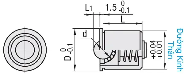 Ảnh kích thước sản phẩm