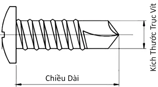 Ảnh kích thước sản phẩm
