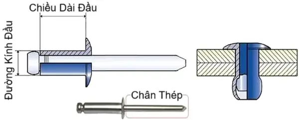 Ảnh kích thước sản phẩm