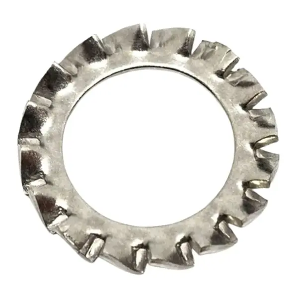Lông Đền Răng Ngoài Loại A Inox 304 DIN6798A M10