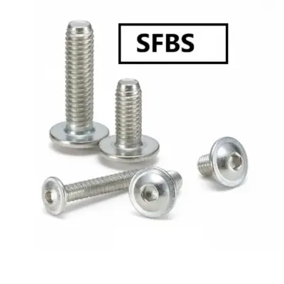 Lục Giác Chìm Đầu Mo Có Vành Inox 304 M6x12 NBK Dòng SFBS