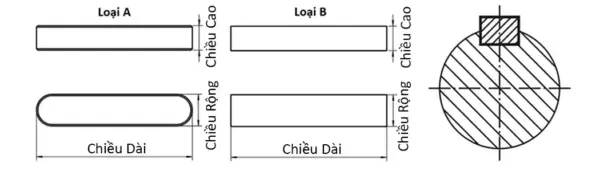 Ảnh kích thước sản phẩm