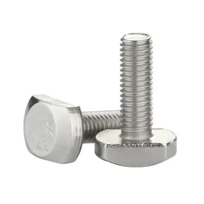 Bulong Chữ T Inox 304 M10x45