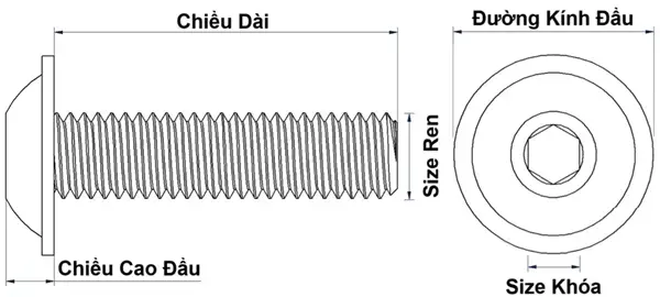 Ảnh kích thước sản phẩm