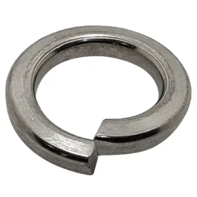 Lông Đền Vênh B18.21.1 Inox 316 Hệ Inch 3/8