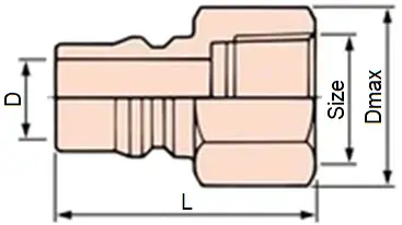 Ảnh kích thước sản phẩm