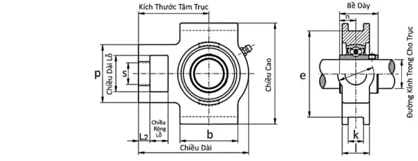 Ảnh kích thước sản phẩm
