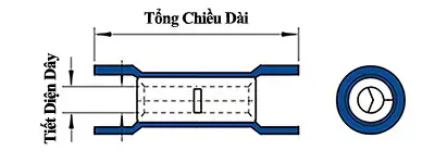 Ảnh kích thước sản phẩm