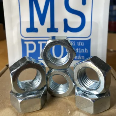 Tán Thép Mạ Kẽm Trắng Cr3+ 8.8 DIN934 M20