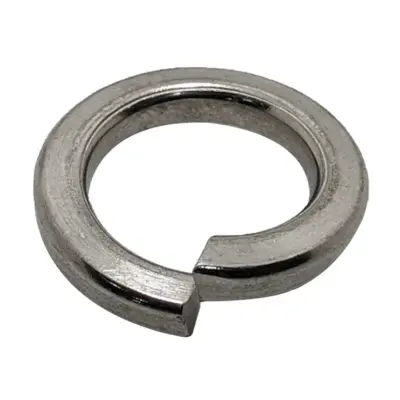 Lông Đền Vênh Inox 316 DIN7980 M4