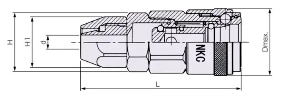 Ảnh kích thước sản phẩm