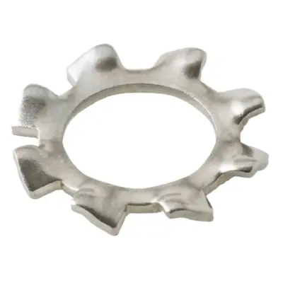 Lông Đền Răng Ngoài Loại A Inox 304 DIN6797A M8