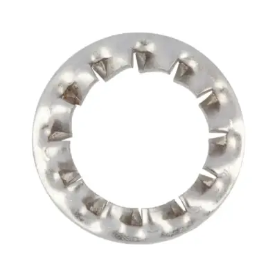 Lông Đền Răng Trong Loại J Inox 304 DIN6798J M10