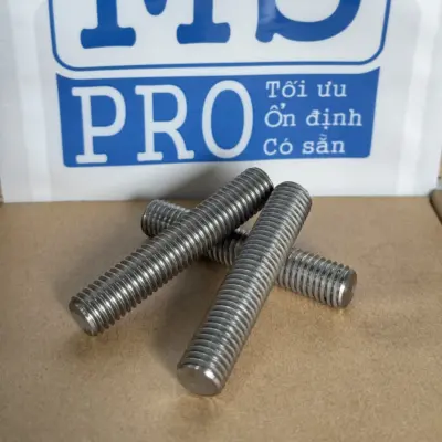 Guzong Inox 316 M12x65