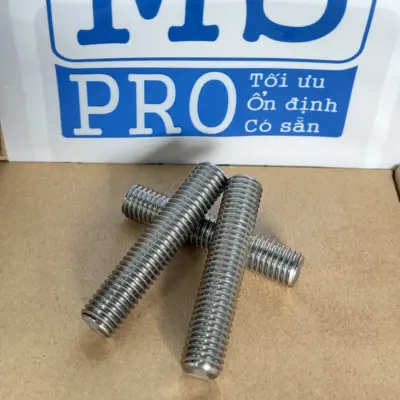Guzong Inox 316 M12x60