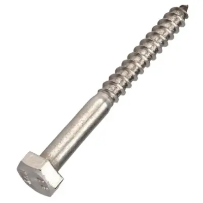 Vít Phong Inox 304 DIN571 M10x110