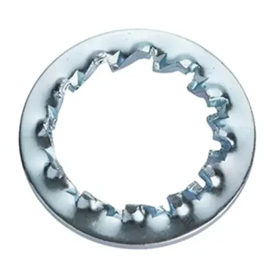 Lông Đền Răng Trong Loại J Thép Mạ Kẽm Trắng Cr3+ 4.8 DIN6798J M12