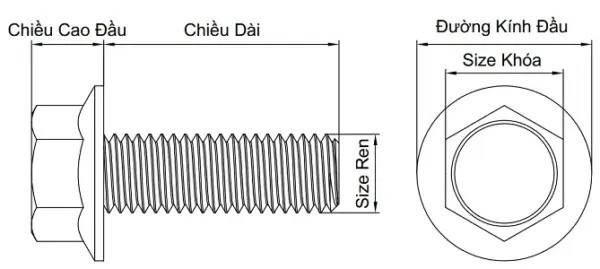 Ảnh kích thước sản phẩm