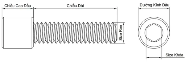 Ảnh kích thước sản phẩm