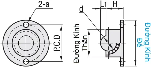 Ảnh kích thước sản phẩm