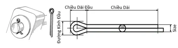 Ảnh kích thước sản phẩm