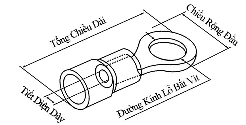 Ảnh kích thước sản phẩm