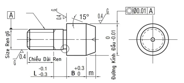 Ảnh kích thước sản phẩm